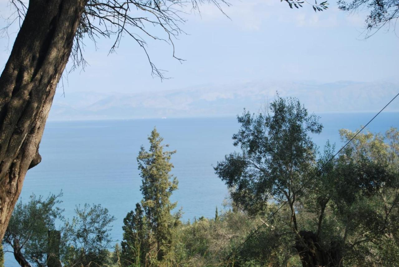 Villa Korakádes Exteriér fotografie